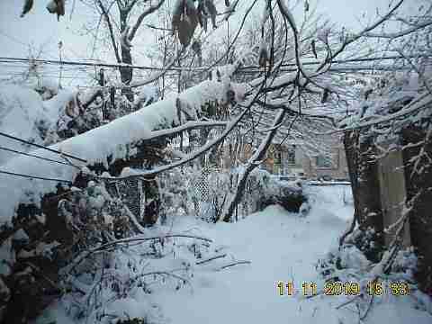 3319 Pingree (25)_m.jpg